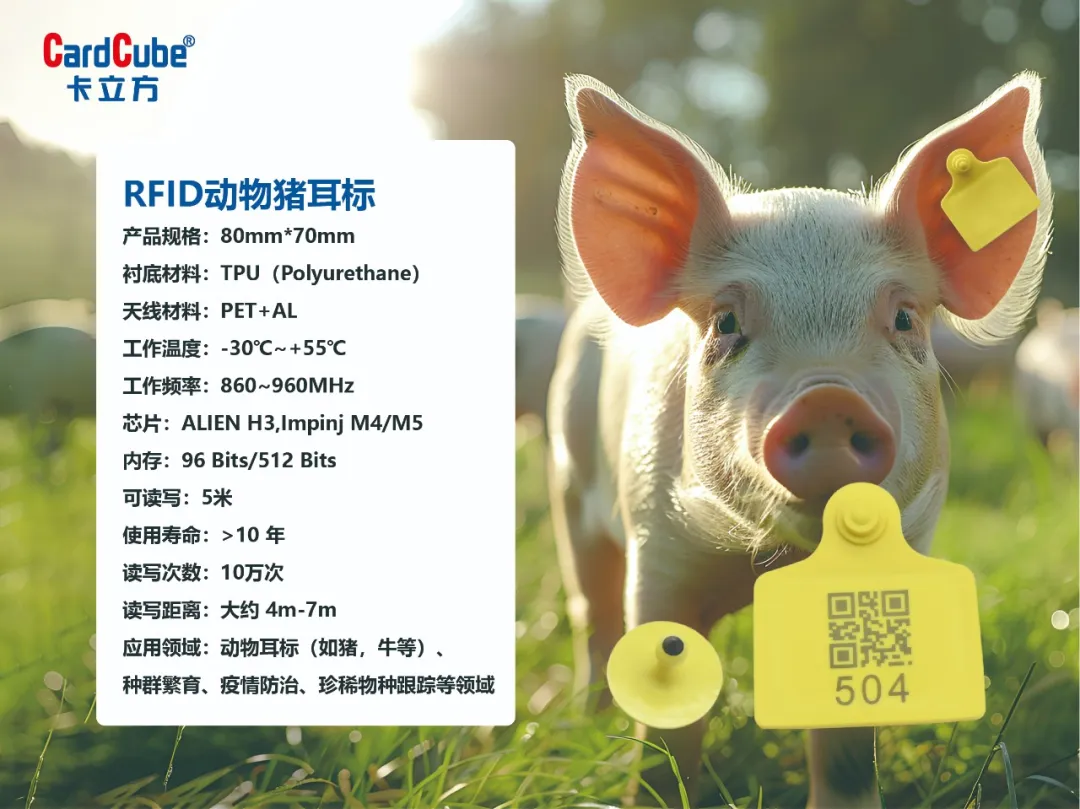 f3f92c17-b212-4fdd-8c56-c59b041d5ae6 f3f92c17-b212-4fdd-8c56-c59b041d5ae6