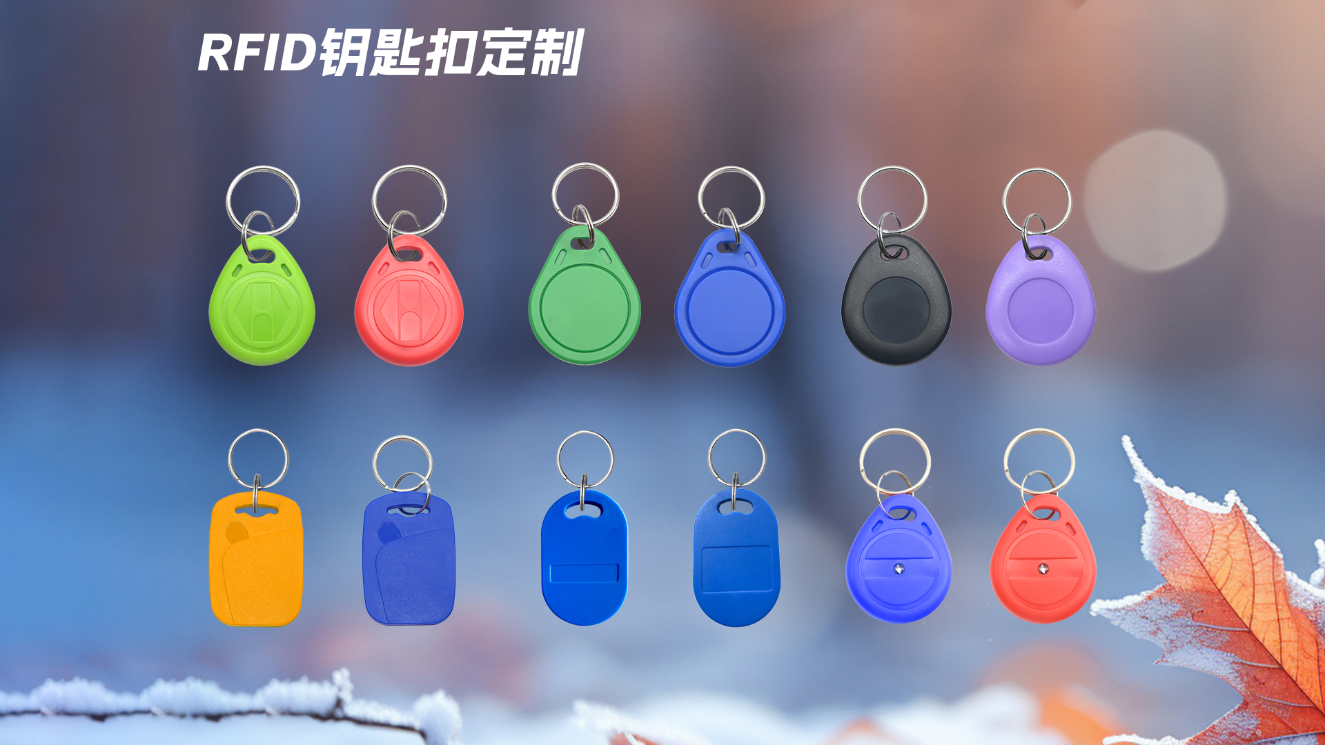 微信圖片_20251021151059_624_127 微信圖片_20251021151059_624_127