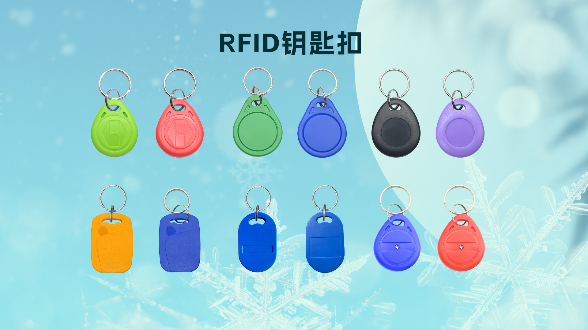 微信圖片_20251120165907_934_127